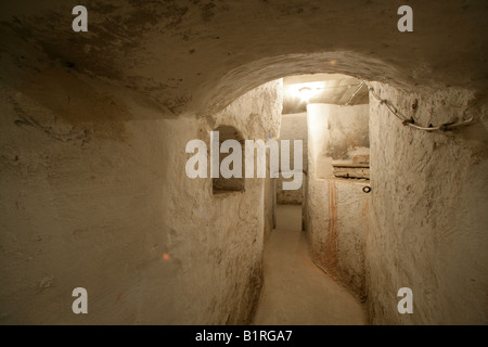 Medievale cantina con soffitto a volta, ripostiglio, Muehldorf am Inn, Baviera, Germania, Europa Foto Stock