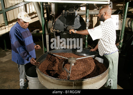 Due uomini in un roastery sono torrefazione di caffè, Goroka, Papua Nuova Guinea, Melanesia Foto Stock