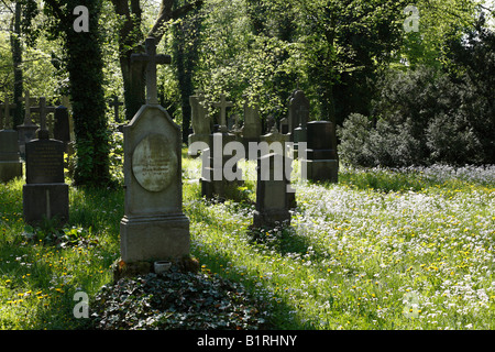 Alter Friedhof Suedlicher, vecchio Sud del sagrato, Isarvorstadt, Monaco di Baviera, Germania, Europa Foto Stock