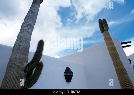 Teguise, Jameos del Agua, Lanzarote, Spagna Foto Stock