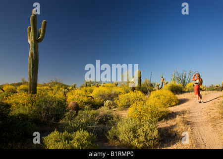 Un visitatore escursioni nel Parco Regionale delle Montagne di McDowell vicino alla fontana colline al di fuori di Phoenix in Arizona modello rilasciato Foto Stock