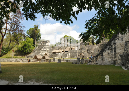 Acropoli del nord, Plaza Mayor, rovine Maya, Tikal, Guatemala, America Centrale Foto Stock