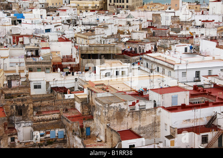 Vista sui tetti, tetti di Cadice, Andalusia, Spagna, Europa Foto Stock