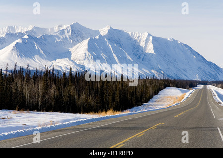 Alaska autostrada a sud di Haines Junction, St. Elias mountain range, abeti, Yukon Territory, Canada, America del Nord Foto Stock