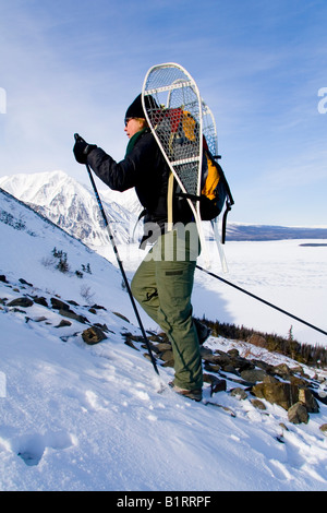 Escursioni in montagna con le racchette da neve, Parco Nazionale Kluane, re sul trono, Kathleen Lake, Yukon Territory, Canada, America del Nord Foto Stock