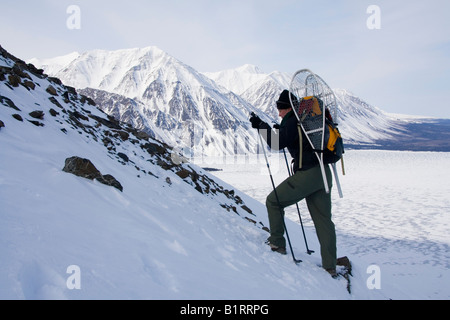 Escursioni in montagna con le racchette da neve, Parco Nazionale Kluane, re sul trono, Kathleen Lake, Yukon Territory, Canada, America del Nord Foto Stock