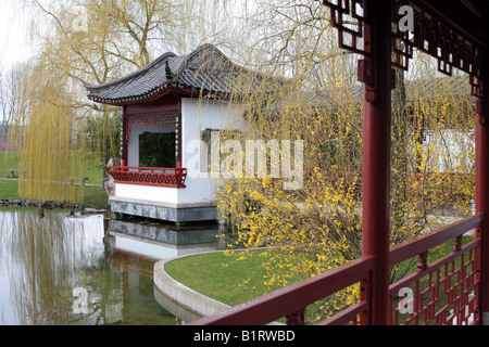 Calma Moonlight Pavilion nel Giardino Cinese, Gaerten der Welt, Giardini del Mondo, Marzahn di Berlino, Germania, Europa Foto Stock