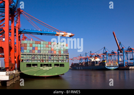 Navi container essendo caricati al Eurokai terminale per container a sinistra e Burchardkai, destra, dal porto di Amburgo, Germania, Europa Foto Stock
