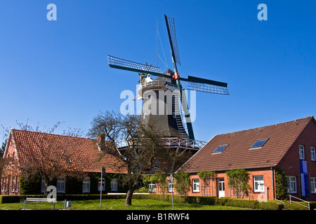 Il mulino a vento storico costruito in tipico stile olandese che mostra il fiocco sul retro, mondatura mill, Esens, Frisia orientale, Bassa Sassonia Foto Stock