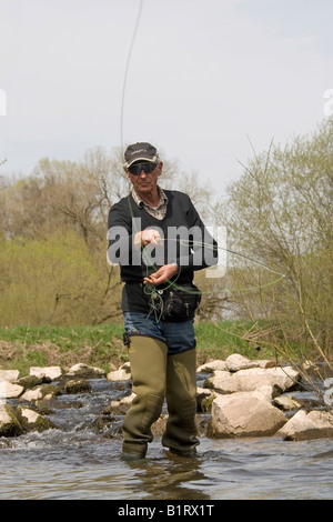 L'uomo la pesca con la mosca, area Vulkaneifel, Renania-Palatinato, Germania, Europa Foto Stock