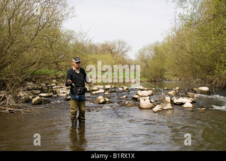 L'uomo la pesca con la mosca, area Vulkaneifel, Renania-Palatinato, Germania, Europa Foto Stock