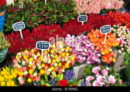 Fiori recisi, il mercato dei fiori galleggiante, canale Singel, Amsterdam, Paesi Bassi, Europa Foto Stock