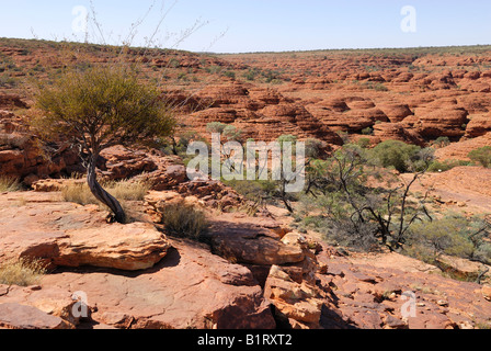 Vista delle cupole di arenaria della città perduta presso il bordo meridionale del Kings Canyon, Watarrka National Park, Northern Territory, Aust Foto Stock