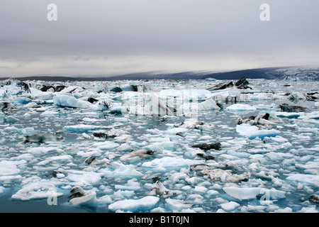 Iceberg galleggianti nel lago glaciale in Islanda Foto Stock