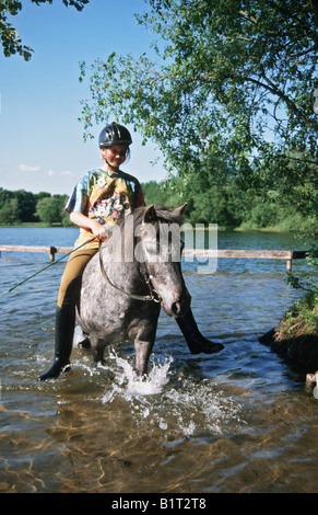 Pony shetland con rider in acqua Foto Stock