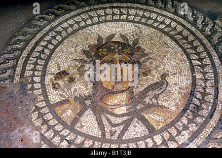 Mosaico romano piano Corinium Museum Cirencester tessere England Gloucestershire Regno Unito Gran Bretagna marciapiede Foto Stock