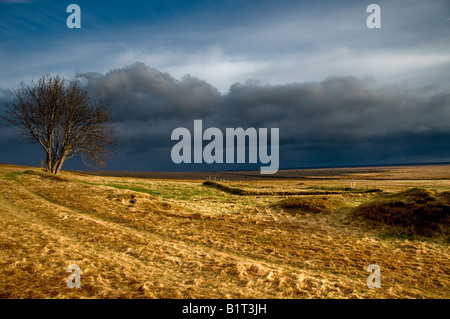 A Sandfell Sandfellsheidi Montagna. Skaftafell National Park. L'Islanda Foto Stock