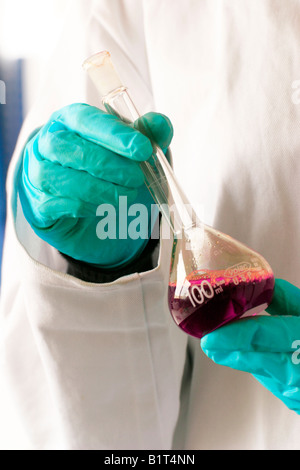 Resistente agli agenti chimici guanti di nitrile essendo utilizzato per gestire un pallone tarato. Foto Stock