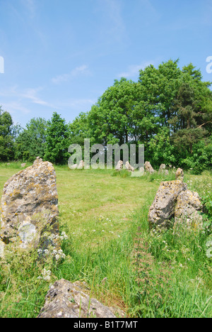 "Gli uomini del re' Stone Circle (l'Rollright Stones), vicino a Long Compton, Oxfordshire, England, Regno Unito Foto Stock