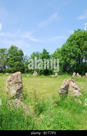 "Gli uomini del re' Stone Circle (l'Rollright Stones), vicino a Long Compton, Oxfordshire, England, Regno Unito Foto Stock