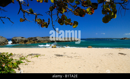 La spiaggia di Punta Marchiquita vicino alla cittadina di Los Molinos è una gemma nascosta al litorale del nord vicino manati, Puerto Rico Foto Stock