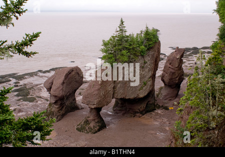 Hopewell Rocks, New Brunswick Canada bassa marea Foto Stock