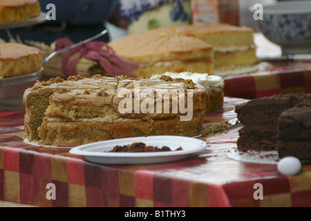 Torte fatte in casa, pronti per la vendita al villaggio locale fete Foto Stock