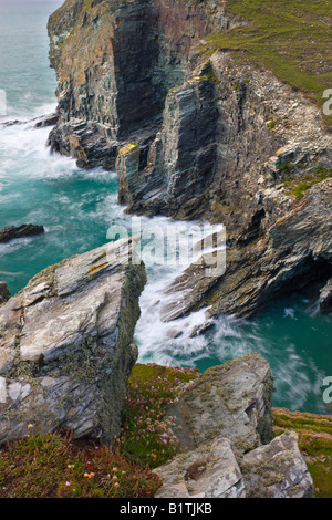 Ardesia eroso Cornish scogliere a Backways Cove Cornwall Inghilterra Foto Stock