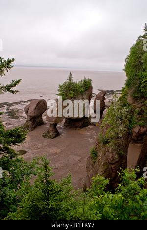 Hopewell Rocks, New Brunswick Canada bassa marea Foto Stock