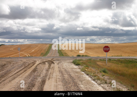 Crocevia e segno di stop in area rurale in Saskatchewan in Canada Foto Stock