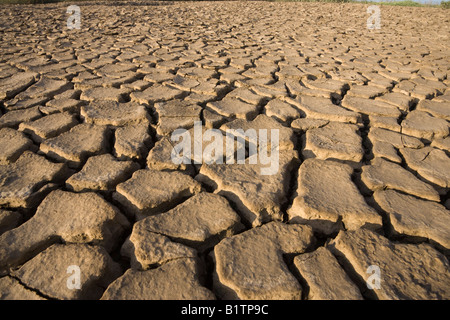 Fango essiccato durante la siccità Foto Stock