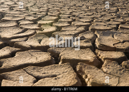 Fango essiccato durante la siccità Foto Stock