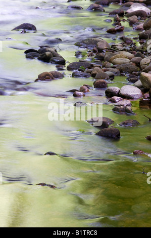 Il fiume che scorre attraverso boschi di Cawdor, Nairnshire, Scozia Foto Stock