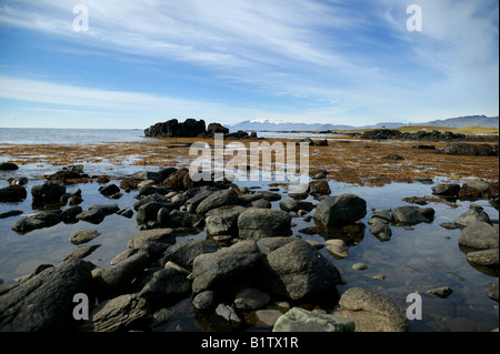 Le alghe in acqua poco profonda sulla costa, Snaefellsnes, Islanda Foto Stock