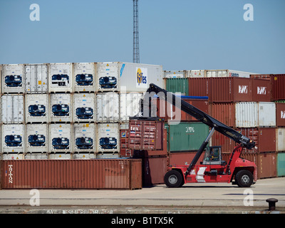 Veicolo speciale gru per la movimentazione di impilamento di sollevamento contenitori di spedizione porto di Anversa Fiandre Belgio Foto Stock