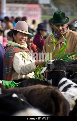 A Saquisili Mercato del Bestiame nel Viale del vulcano in Ecuador Foto Stock