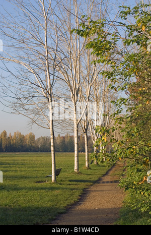 Via nel parco Parco Nord Milano Foto Stock