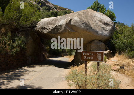 Roccia di tunnel, lungo il lato delle Generali autostrada, Sequoia National Park, California, Stati Uniti d'America Foto Stock