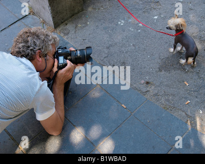 Fotografo utilizzando fotocamera reflex digitale fotografando un pazzo cercando cane ad Anversa in Belgio Foto Stock