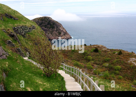 Sentiero escursionistico sul segnale Hill a St John, Terranova Foto Stock