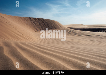 Scolpiti mezzaluna di Barchan trasversalmente le dune di sabbia del deserto pietroso vicino a North Horr Kenya Settentrionale Africa orientale Foto Stock