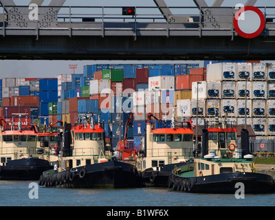 Porto di Anversa Fiandre Belgio 180 milioni di tonnellate di merci passano attraverso qui annualmente Foto Stock