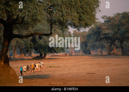 ZIMBABWE Parco Nazionale di Mana Pools Foto Stock