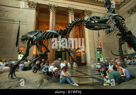 Stati Uniti d'America Nord America New York City Manhattan del Museo di Storia Naturale scheletro di dinosauro presenta nella sala principale con i visitatori Foto Stock