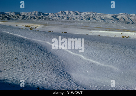 MONGOLIA deserto dei Gobi Biger Negdel Foto Stock