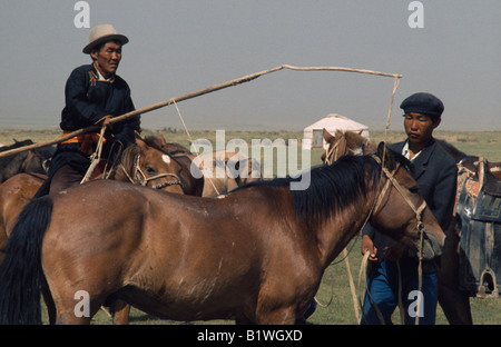 MONGOLIA deserto dei Gobi Biger Negdel Foto Stock