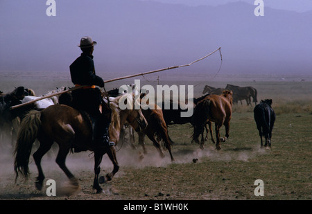 MONGOLIA deserto dei Gobi Biger Negdel Foto Stock