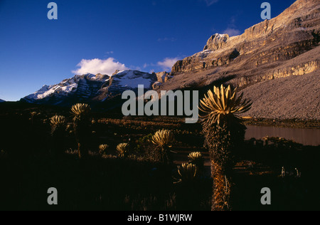 COLOMBIA Sierra Nevada del Cocuy Foto Stock