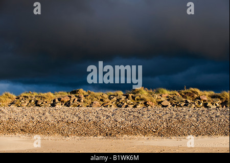 Findhorn spiaggia su un vento tempestoso spazzata di sera. Moray, Scozia Foto Stock