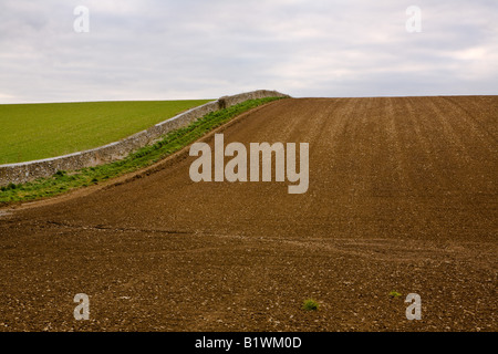 Cotswold paesaggio. Campo nei pressi di Stow on the Wold, nel Gloucestershire. Campo Arato con la parete che attraversano e campo erboso. Foto Stock